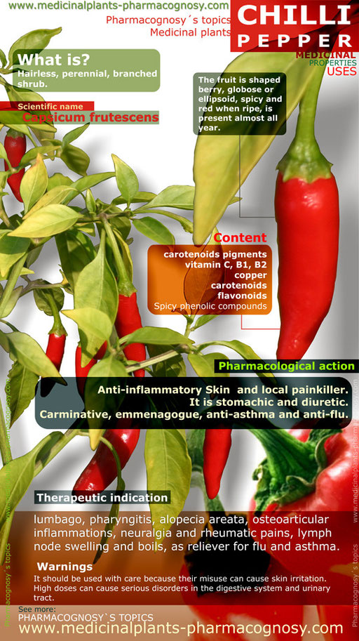 Chilli pepper benefits. Infographic