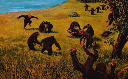 COMBATTIMENTO FRA CHIMPANZEE, di A.Molino. Tempera su cartone. Da FOCUS, 1996