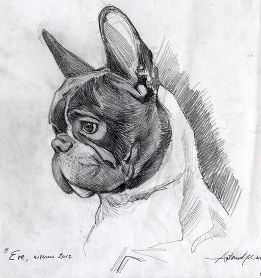 LA PICCOLA EVE, BOULEDOGUE FRANCESE DI FAMIGLIA, di A.Molino. Matita su carta, 2012