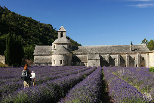 Kloster Senanque