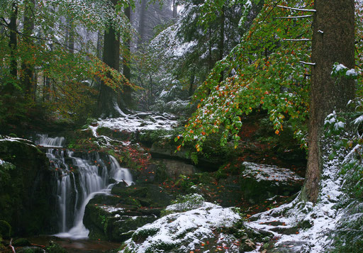 "wenn aus Herbst Winter wird" (am Muglbach bei Altmugl, nördl. Opf.)