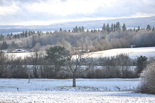 Blick von Karlsbad-Spielberg in Richtung Nordschwarzwald (G. Franke, 03.01.2025)