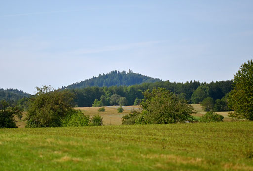 Blick vom Waldrand bei Völkersbach in Richtung Mahlberg (G. Franke, 18.06.2024)