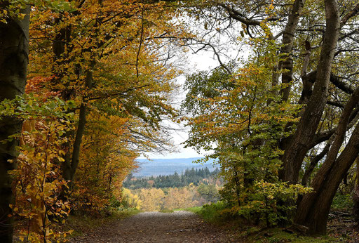 Landschaft im Herbst bei Karlsbad-Spielberg im Landkreis Karlsruhe