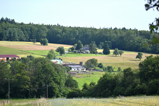 Rimmelsbacher Hof zwischen Völkersbach und Malsch