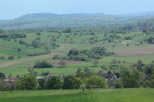 aus Richtung Ittersbach kommend - Blick über Keltern-Weiler in den südlichen Kraichgau (G. Franke, 07.05.2023)