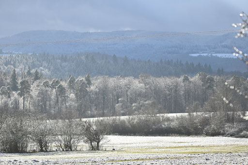 Blick von Karlsbad-Spielberg in südwestliche Richtung zum Nordschwarzwald (G. Franke, 03.01.2025)