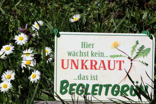 Foto: G. Franke