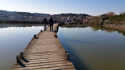 Rando découverte de Randos Canetoise du 9 janvier 2018 à Peyriac de Mer