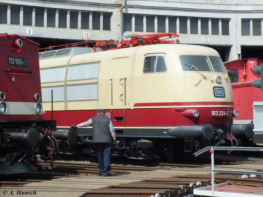 Hier steht 103 224-2 im Lokschuppen des Bw Glauchau (5. Mai 2013)