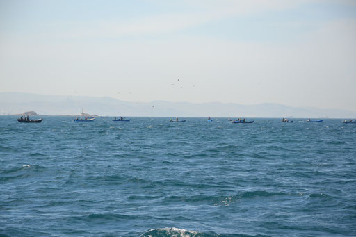С африканского берега полно марокканских рыбаков, идем по краю СРД. Так спокойнее и безопаснее.