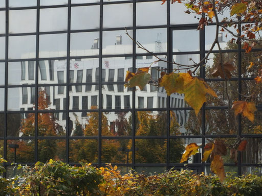 Glasfassade in Wiesbaden
