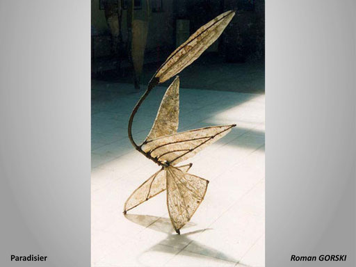 Paradisier - Roman GORSKI