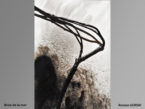 Brise de la mer, tableau végétal - Roman Gorski