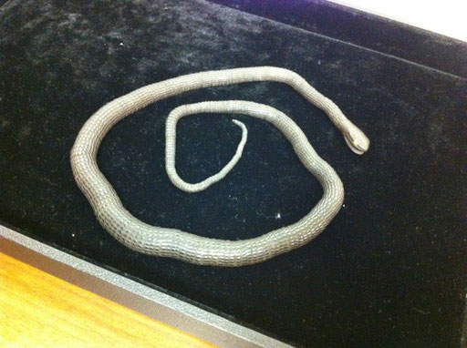 articulated snake