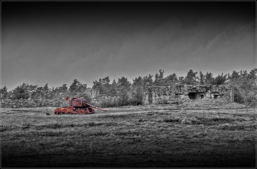 Live Target - Senne Range's