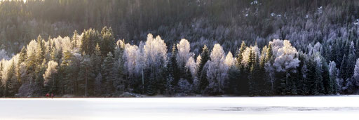 Mønevannet / Losby