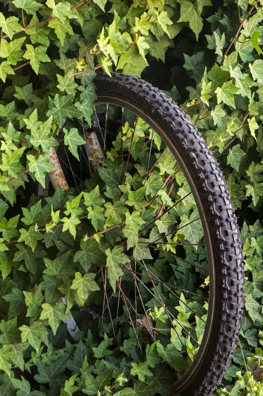 Old bike andoned on a country home North of Lisbon on 2015.