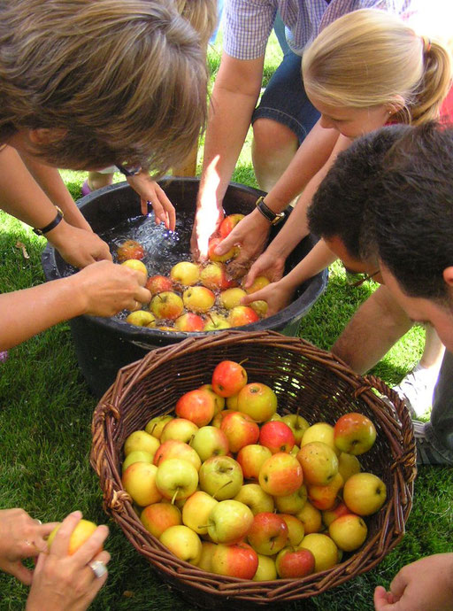 Äpfel im Zuber waschen bei Ihrem Teamevent oder Mitarbeiterveranstaltung rund um den Apfelsaft