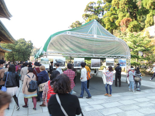 芸能祭鑑賞のお客様だけでなく、建長寺に来られた多くのお客様が足をとめてご覧になっていました。