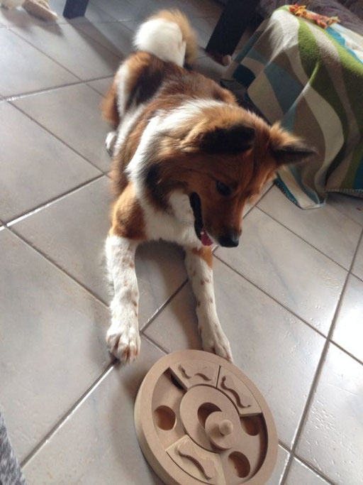 Binka bei Denkspielen!!