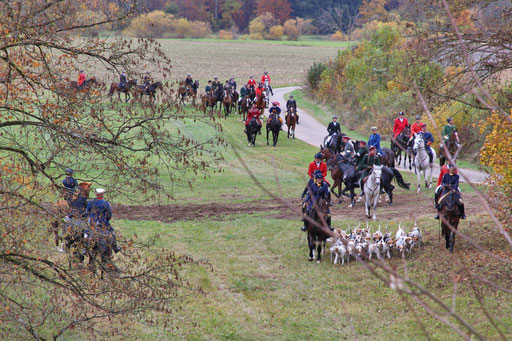 RossFoto Dana Krimmling; Schleppjagd Deutscher Kavallerieverband; Sigmaringen 2015; Pferdefotografie; Fotografie; Wanderreiten; Freizeitreiten; Jagdreiten; Kavallerie; Kavalleriereiten; Schleppjagd; Jagdhunde; Hundemeute; Meute; Jagd; Herbstjagd; Deutsche