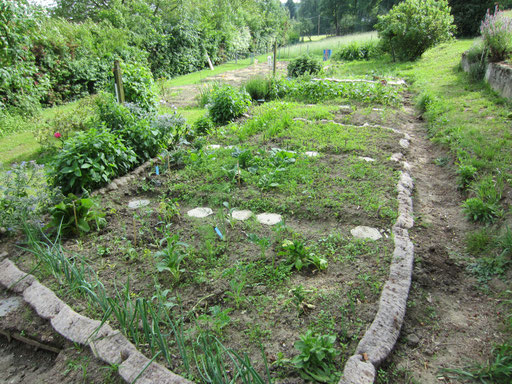 (R)AUSgewandert in den Gemeinschaftsgarten
