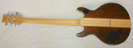 They called it: "transmit-neck" maple, mahogany... cool, huh? Pretty fat and nice