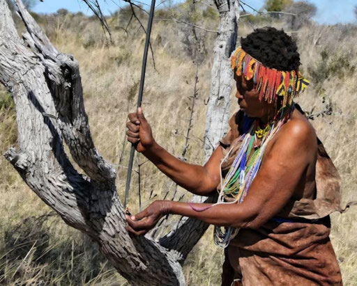 WHITE THUNDER TOUR 2026 NAMIBIA BOTSWANA ZIMBABWE
