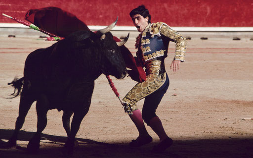 Matador in a close pass, Pamplona, Spain