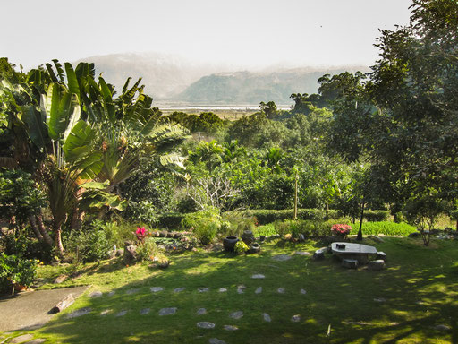 WISDOM GARDEN