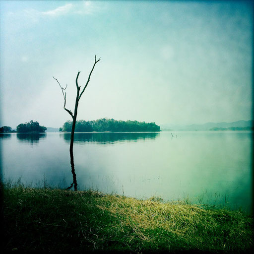 GRANDIOSE STILLE
