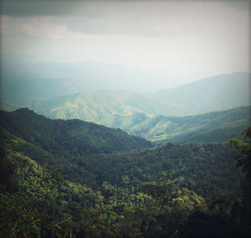 DOI PHUKHA NATIONAL PARC