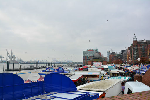 Fischmarkt St. Pauli aus der Möwenperspektive