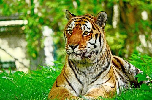 Tierpark Hellabrunn München