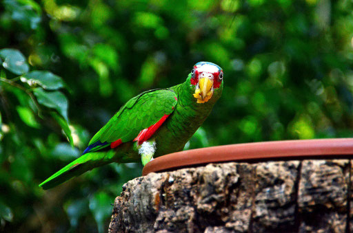 Tierpark Hellabrunn München