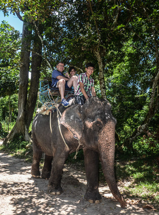 Unterwegs in Thailand - der Natur auf der Spur (Foto: Der Besitzer des Elefanten mit Daniels Kamera)