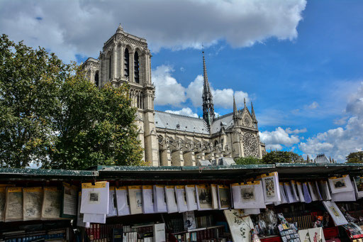 Die Kirche thront majestätisch auf der Ile de la Cite. Die Ile de la Cite´ ist die Keimzelle des  heutigen Paris