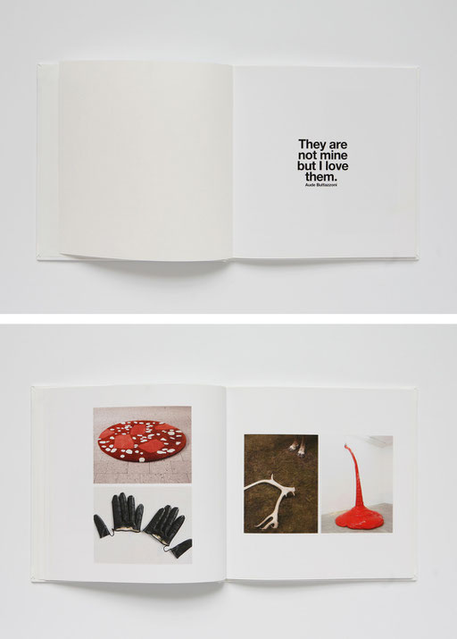 iconography, they are not mine, but I love them, aude buttazzoni, book