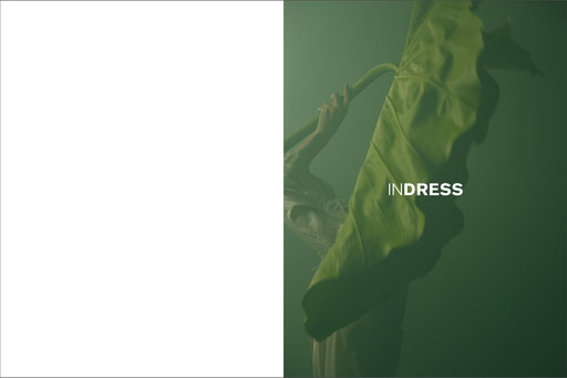 indress,catalogue,catalog,audebuttazzoni, aude buttazzoni, artwork, art direction,