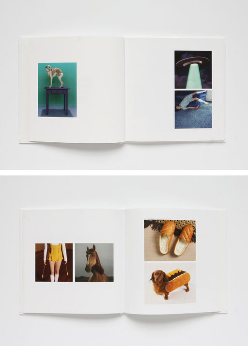 iconography, they are not mine, but I love them, aude buttazzoni, book