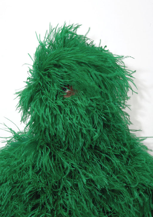 art direction, graphic design, stylism, photograph, aude buttazzoni, indress, wies schulte, the green monster