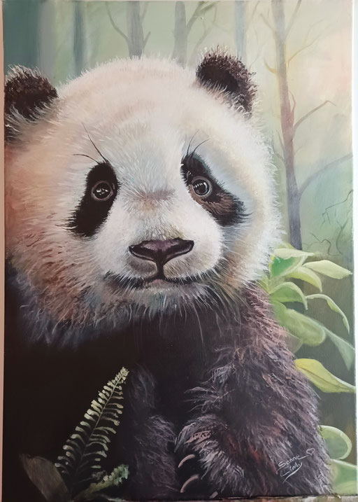 Panda : Hao Yun 