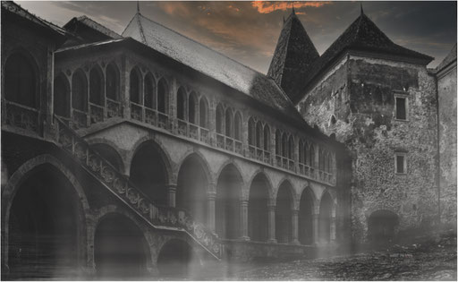 13. Burg Hunedoara
