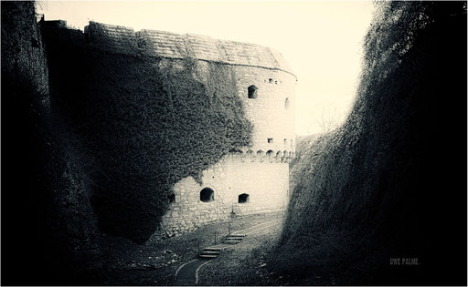 24.  Burg Querfurt