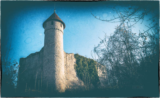 40.  Burgruine Haineck