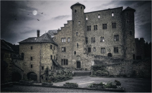 65. Burg Hamm