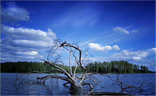 25. Finnland