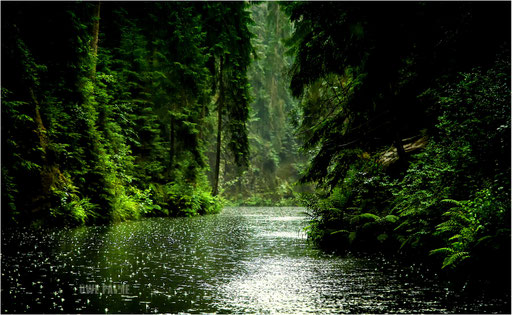 04. Osterzgebirge