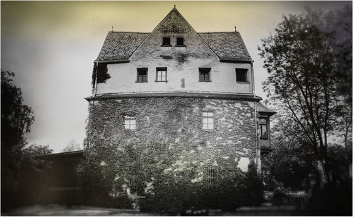 09
